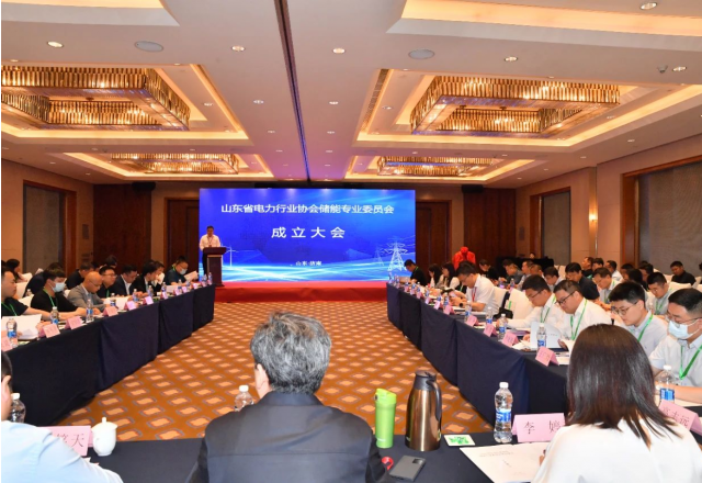 山東省電力行業協會儲能專業委員會成立大會暨儲能領袖峰會在濟南召開